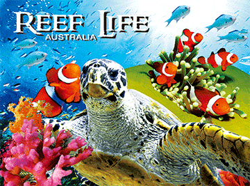 3D Placemats Pack of 2 Australia 3D Lenticular Printed Aussie Animals Wildlife Designs - fair-dinkum-gifts