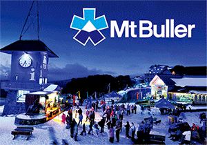 3D Postcard Aussie Themes Australian Animals Souvenir Group 2 - fair-dinkum-gifts