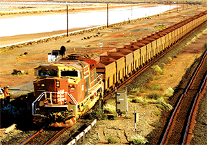 3D Postcard Aussie Themes Australian Animals Souvenir Group 1 - fair-dinkum-gifts