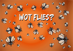 3D Postcard Aussie Themes Australian Animals Souvenir Group 1 - fair-dinkum-gifts