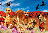 3D Postcard Aussie Themes Australian Animals Souvenir Group 1 - fair-dinkum-gifts