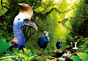 3D Postcard Aussie Themes Australian Animals Souvenir Group 2 - fair-dinkum-gifts