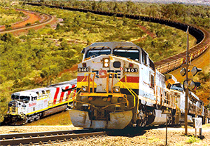 3D Postcard Aussie Themes Australian Animals Souvenir Group 1 - fair-dinkum-gifts