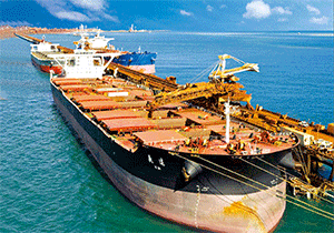 3D Postcard Aussie Themes Australian Animals Souvenir Group 1 - fair-dinkum-gifts