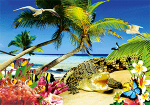 3D Postcard Aussie Themes Australian Animals Souvenir Group 1 - fair-dinkum-gifts