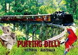 3D Postcard Aussie Themes Australian Animals Souvenir Group 2 - fair-dinkum-gifts