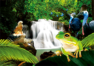 3D Postcard Aussie Themes Australian Animals Souvenir Group 1 - fair-dinkum-gifts