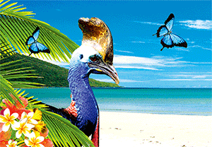 3D Postcard Aussie Themes Australian Animals Souvenir Group 1 - fair-dinkum-gifts