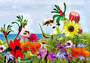 3D Postcard Aussie Themes Australian Animals Souvenir Group 1 - fair-dinkum-gifts