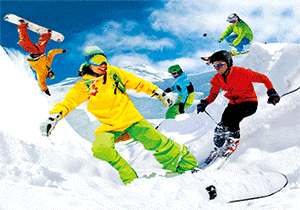 3D Postcard Aussie Themes Australian Animals Souvenir Group 2 - fair-dinkum-gifts