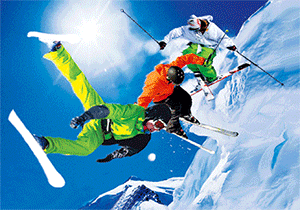 3D Postcard Aussie Themes Australian Animals Souvenir Group 2 - fair-dinkum-gifts