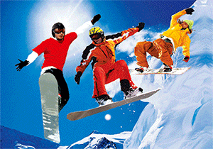 3D Postcard Aussie Themes Australian Animals Souvenir Group 2 - fair-dinkum-gifts