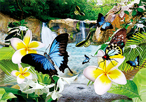 3D Postcard Aussie Themes Australian Animals Souvenir Group 1 - fair-dinkum-gifts