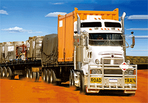 3D Postcard Aussie Themes Australian Animals Souvenir Group 1 - fair-dinkum-gifts