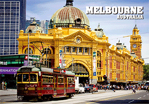 3D Magnets Group 3 - fair-dinkum-gifts