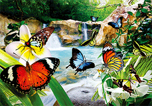 3D Postcard Aussie Themes Australian Animals Souvenir Group 1 - fair-dinkum-gifts