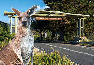 3D Postcard Aussie Themes Australian Animals Souvenir Group 2 - fair-dinkum-gifts