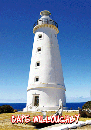 3D Postcard Aussie Themes Australian Animals Souvenir Group 2 - fair-dinkum-gifts