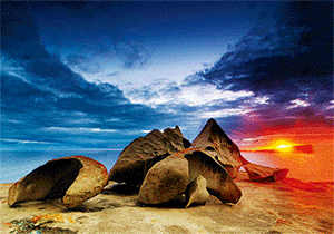 3D Postcard Aussie Themes Australian Animals Souvenir Group 2 - fair-dinkum-gifts