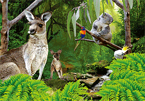 3D Postcard Aussie Themes Australian Animals Souvenir Group 1 - fair-dinkum-gifts