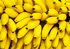 3D Postcard Aussie Themes Australian Animals Souvenir Group 1 - fair-dinkum-gifts