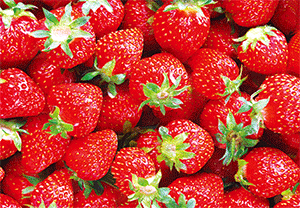 3D Postcard Aussie Themes Australian Animals Souvenir Group 1 - fair-dinkum-gifts