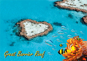 3D Postcard Aussie Themes Australian Animals Souvenir Group 1 - fair-dinkum-gifts