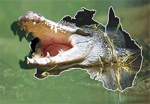 3D Postcard Aussie Themes Australian Animals Souvenir Group 3 - fair-dinkum-gifts