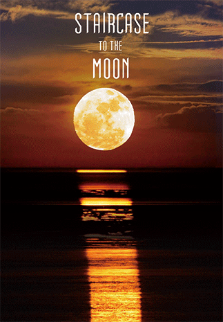 3D Postcard Aussie Themes Australian Animals Souvenir Group 1 - fair-dinkum-gifts