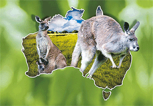 3D Postcard Aussie Themes Australian Animals Souvenir Group 3 - fair-dinkum-gifts