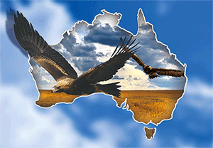 3D Postcard Aussie Themes Australian Animals Souvenir Group 1 - fair-dinkum-gifts