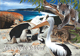 3D Postcard Aussie Themes Australian Animals Souvenir Group 2 - fair-dinkum-gifts