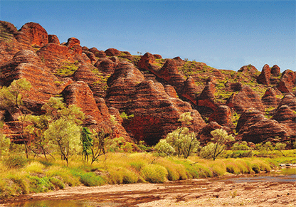 3D Postcard Aussie Themes Australian Animals Souvenir Group 1 - fair-dinkum-gifts