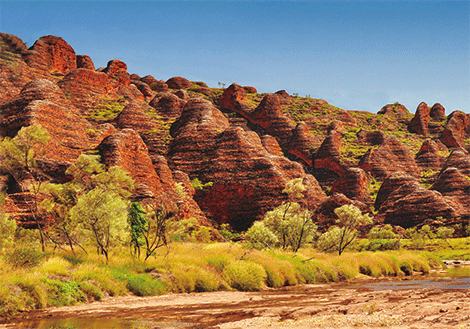 3D Postcard Aussie Themes Australian Animals Souvenir Group 1 - fair-dinkum-gifts