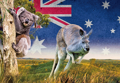3D Postcard Aussie Themes Australian Animals Souvenir Group 1 - fair-dinkum-gifts