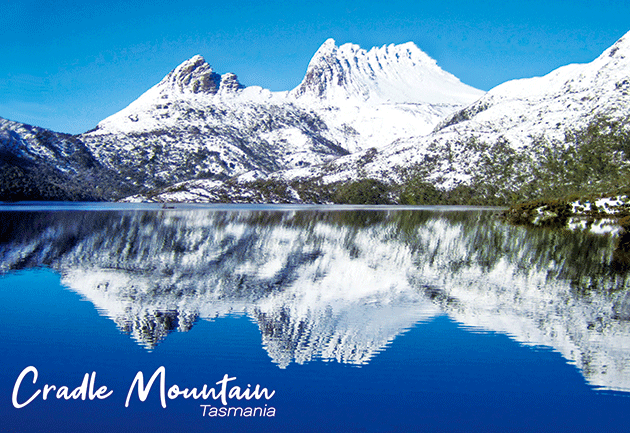 3D Postcard Aussie Themes Australian Animals Souvenir Group 1 - fair-dinkum-gifts