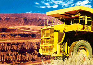 3D Postcard Aussie Themes Australian Animals Souvenir Group 1 - fair-dinkum-gifts