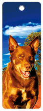 3D Bookmarks Aussie Themes Animals Group 1