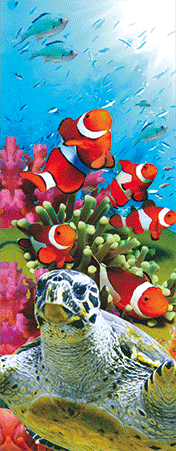 Pack of 5 x 3D Bookmarks LENTICULAR Book Marks Aussie Australian Theme Animals Souvenirs - fair-dinkum-gifts