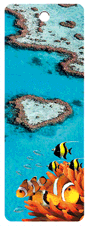 3D Bookmarks Aussie Themes Animals Group 1