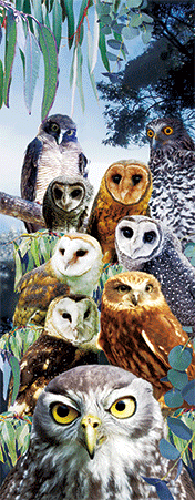 Pack of 5 x 3D Bookmarks LENTICULAR Book Marks Aussie Australian Theme Animals Souvenirs - fair-dinkum-gifts