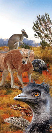 Pack of 5 x 3D Bookmarks LENTICULAR Book Marks Aussie Australian Theme Animals Souvenirs - fair-dinkum-gifts