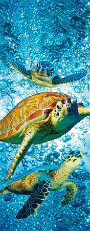 Pack of 5 x 3D Bookmarks LENTICULAR Book Marks Aussie Australian Theme Animals Souvenirs - fair-dinkum-gifts