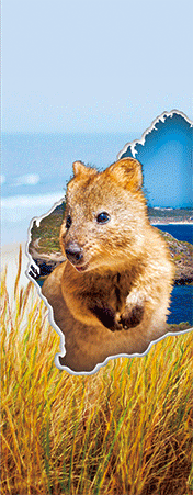 Pack of 5 x 3D Bookmarks LENTICULAR Book Marks Aussie Australian Theme Animals Souvenirs - fair-dinkum-gifts