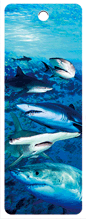 3D Bookmarks Aussie Themes Animals Group 1