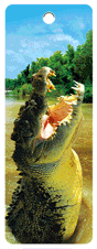 3D Bookmarks Aussie Themes Animals Group 1