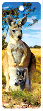 3D Bookmarks Aussie Themes Animals Group 1