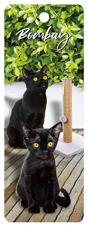 3D Cats Bookmarks With Tassel - 22 different breeds