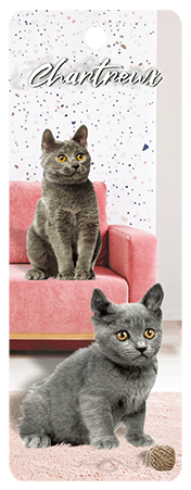 3D Cats Bookmarks With Tassel - 22 different breeds