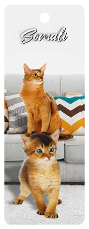 3D Cats Bookmarks With Tassel - 22 different breeds